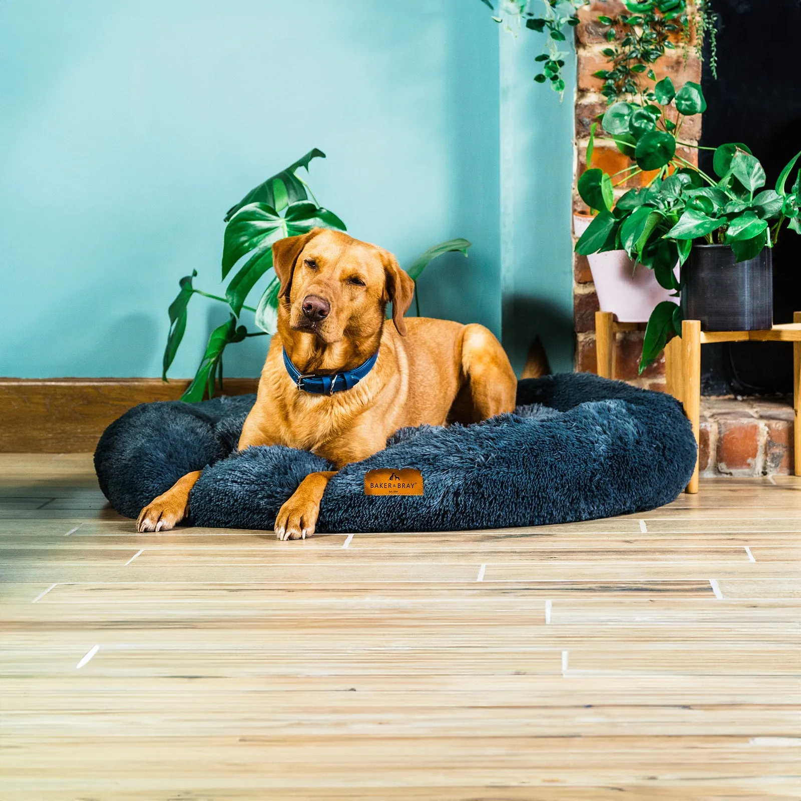 Eco Friendly Luxury Calming Donut Dog Bed, Dark Grey