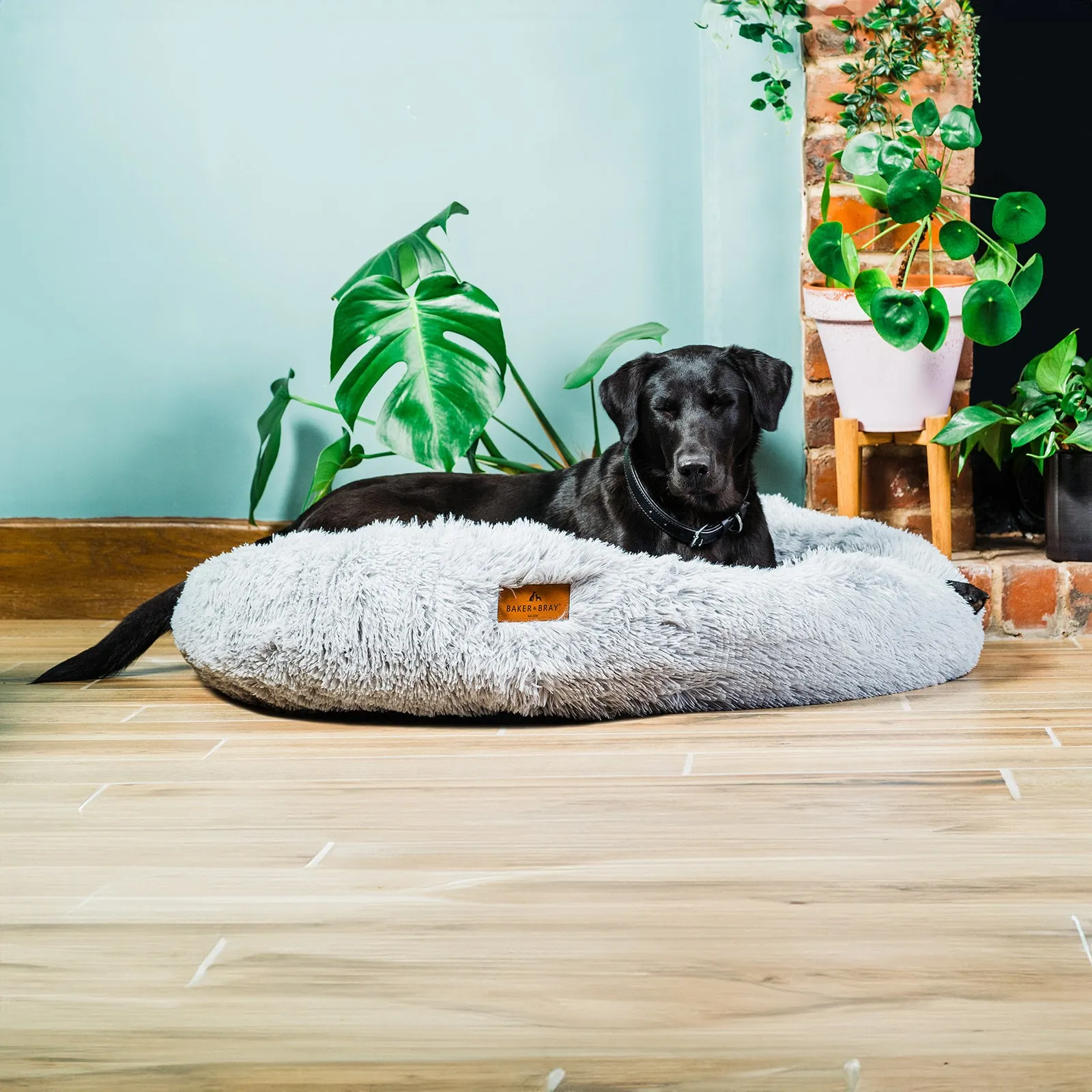 Eco Friendly Luxury Calming Donut Dog Bed, Light Grey