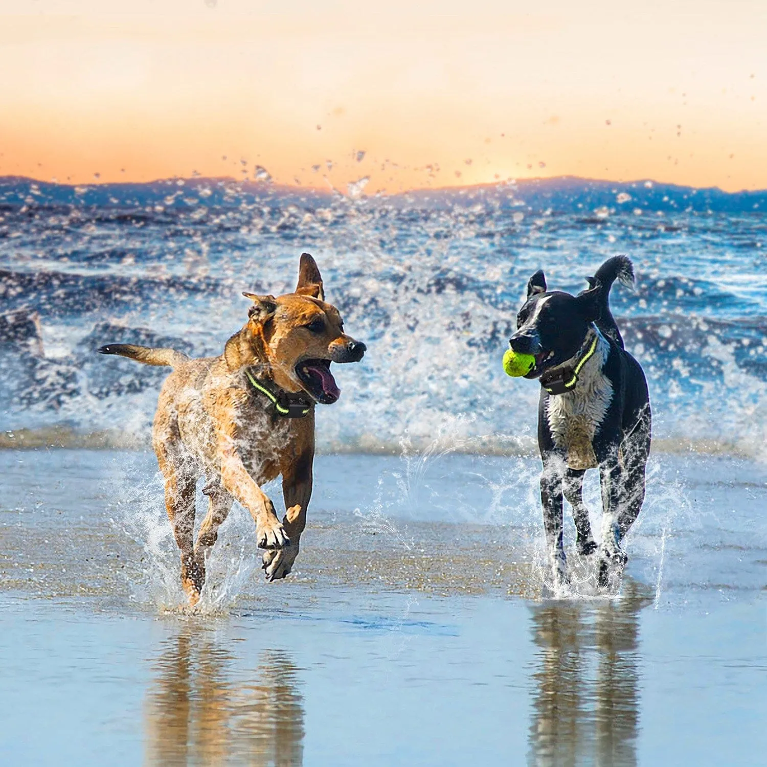 Rechargeable Waterproof Beep Vibration Static Stimulation Bark Stopper